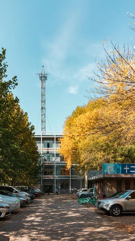 考上了211大学，别人都说比985还要好的学校填报志愿时，父母让她把邮电大