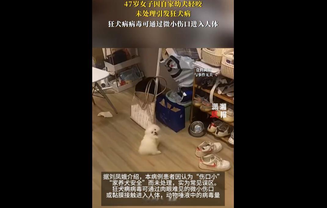 被小狗咬伤了，你会怎么做？是不是觉得没啥事，该做啥就做啥去？今天，女子因幼犬轻