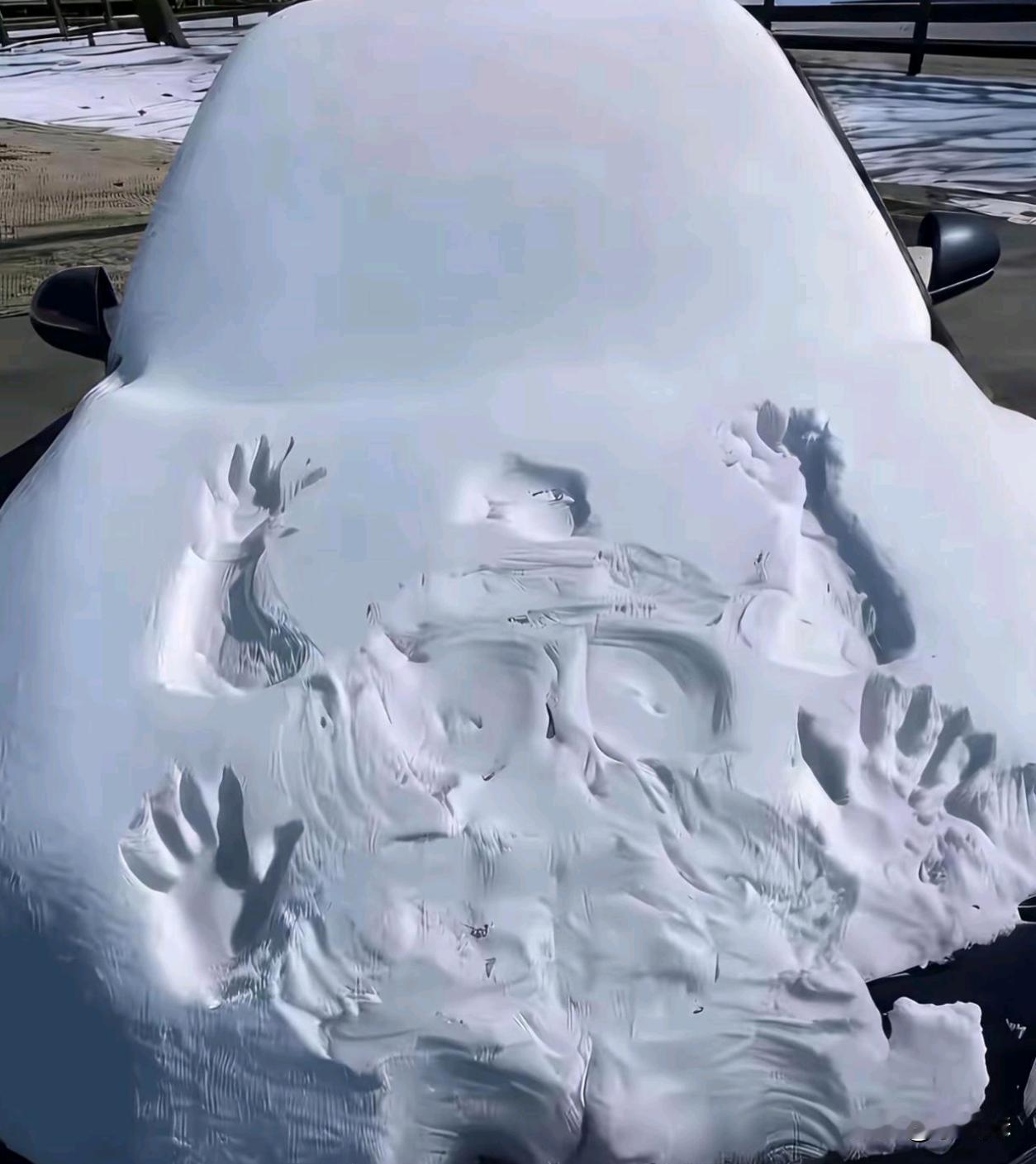 这是什么动物整的？？