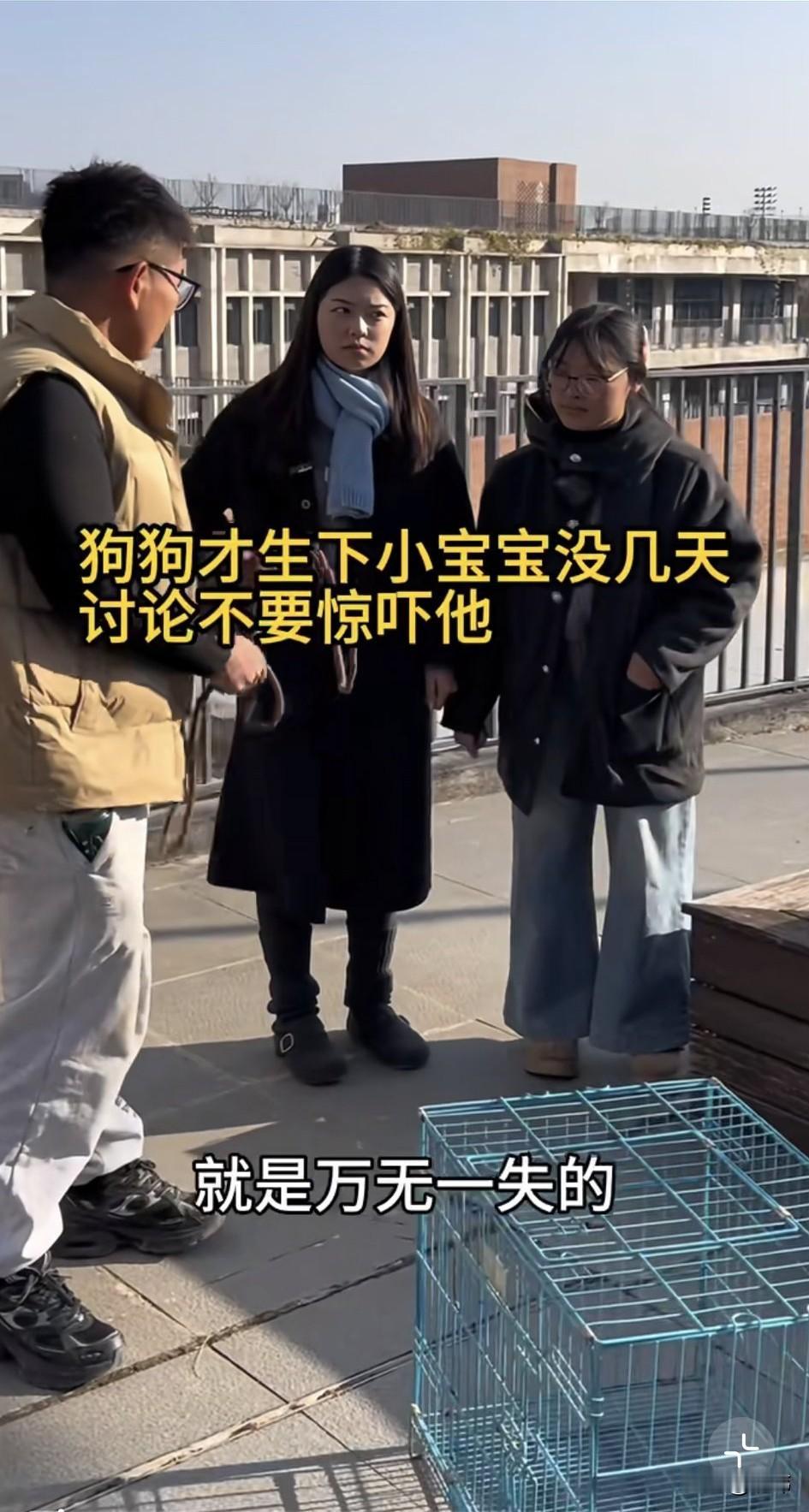 太可怜了！两位小姐姐发现小区里有一只流浪狗妈妈，它把窝安在了一个下水道里，还生了