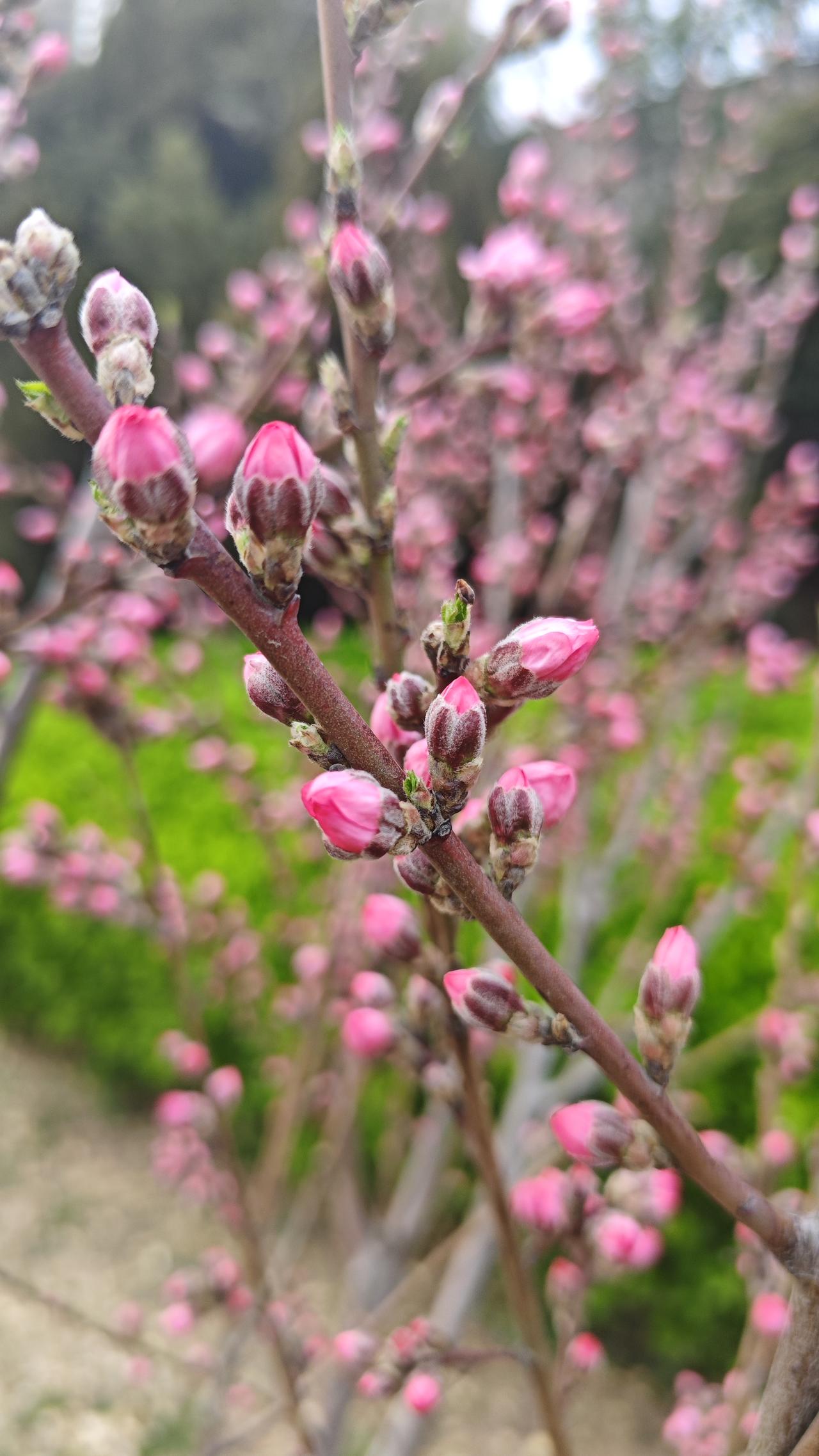 有人说，生活最重要的是腰缠万贯，富足无忧；有人说，是功成名就，万众瞩目；也有人说