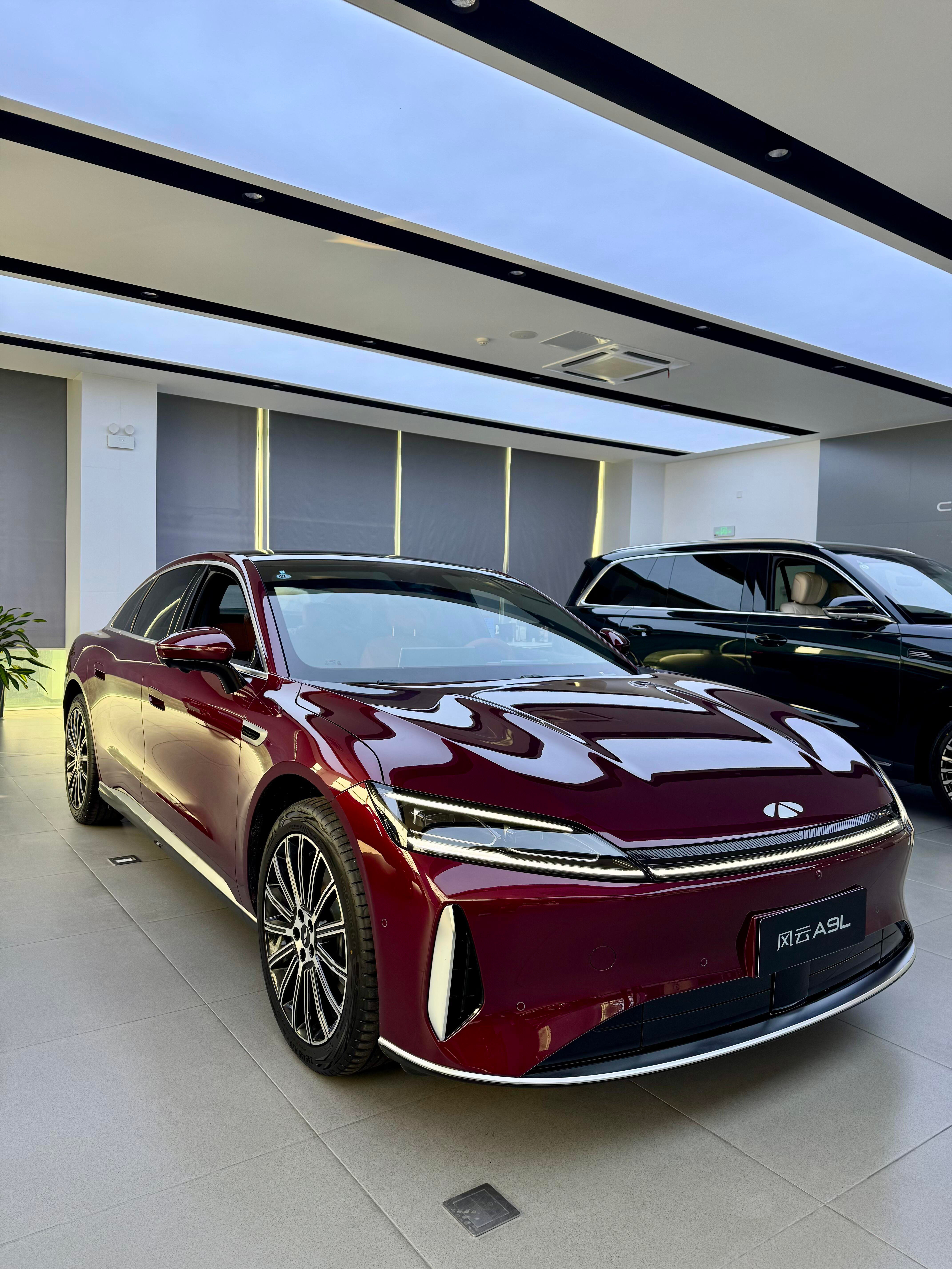 奇瑞风云A9L，一台主打家用的中大型混动轿车，十几万的价位，车身尺寸很大，外观看着大气稳重，不管日常