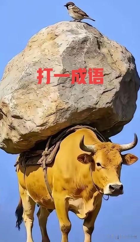 看图猜一成语，有人说是“压力山大”，有人说是“确实很牛”，到底是啥哪个对，评论区