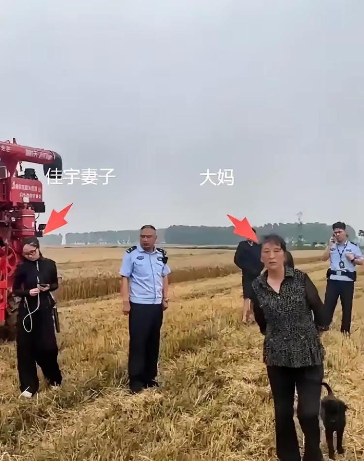 最近襄阳麦收的“割四赔五”事件，真的越看越气，越想越寒心！事情很简单：河南一对