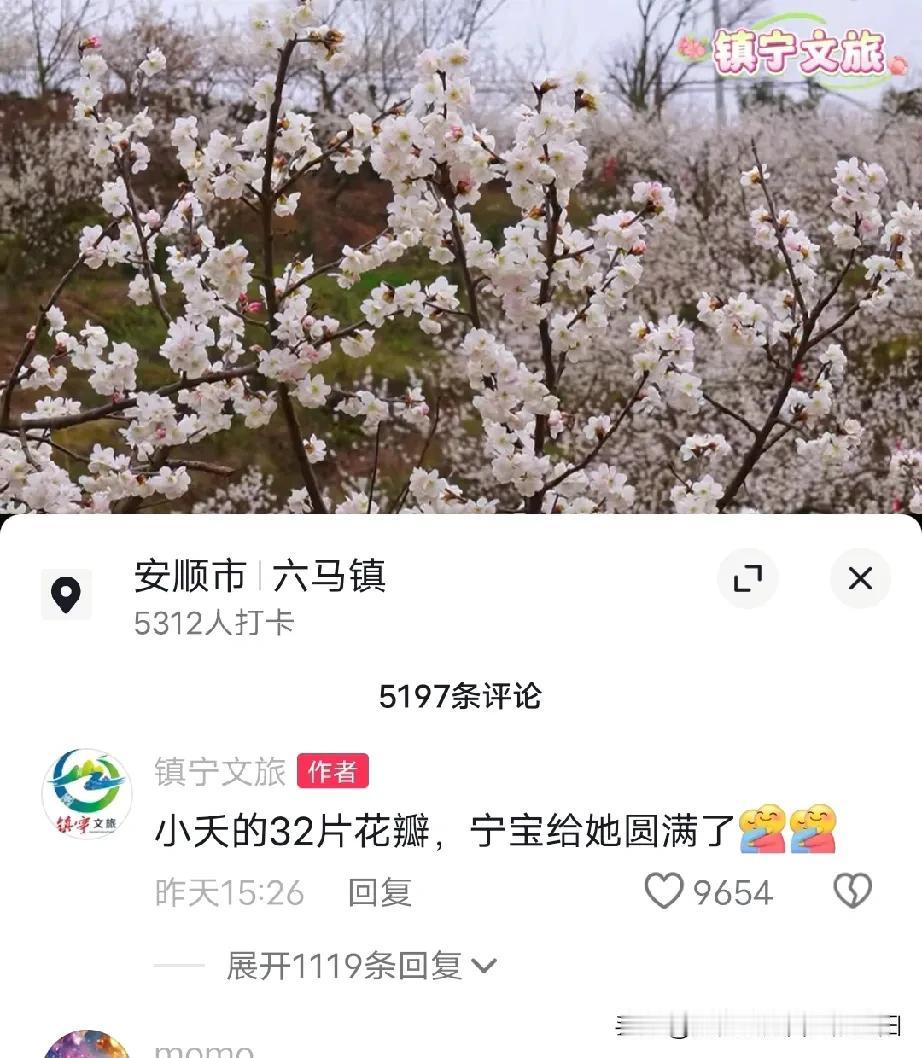 各地文旅都知道小夭的32片花瓣！《长相思第二季》真是丢人丢出圈了啊，完全对不起