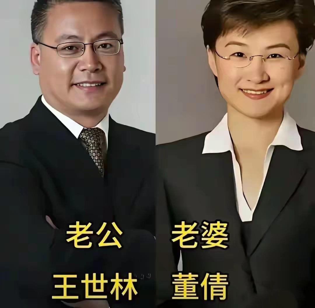 央视神仙夫妻！低调相守整整20年很少有人知道，董倩和王世林是相伴20年的夫