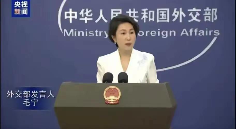 就在刚刚，​中国外交部发出严正声明，​1月13日，针对媒体提问：德国外长瓦德