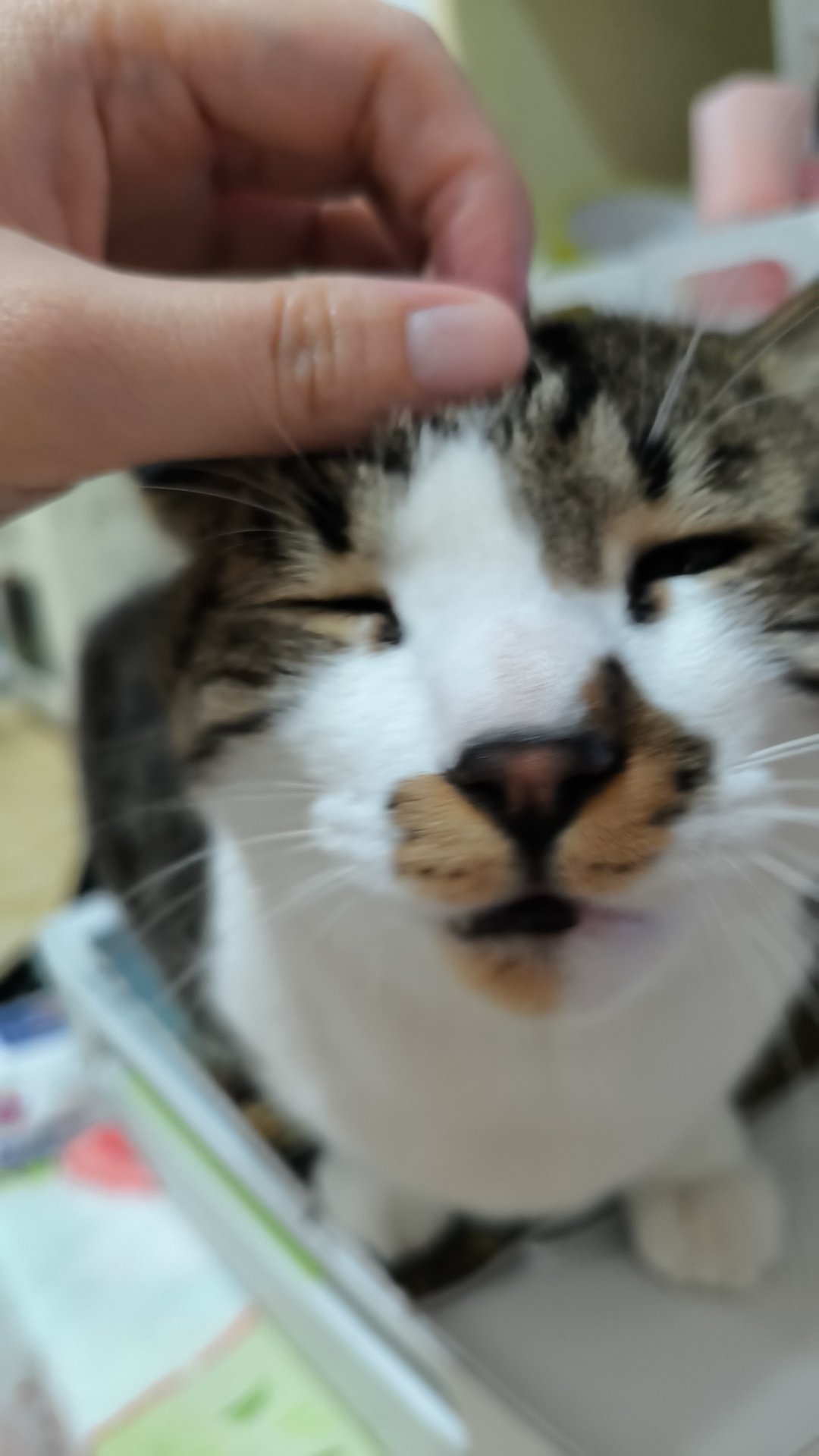 签到咯家人们我终于把年终的那一大堆总结写完了，明天开开心心玩