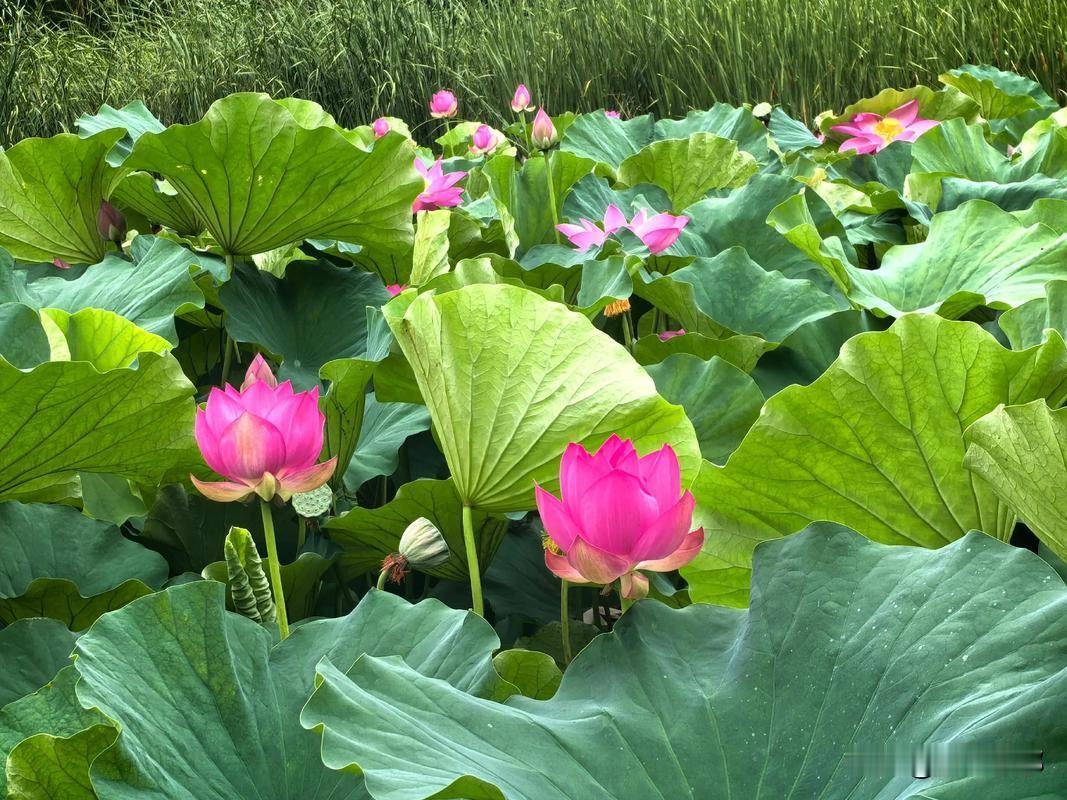 不是迷信：今日农历五月十五，牢记一不出、二不吃、三不说，别大意农历五月十五身