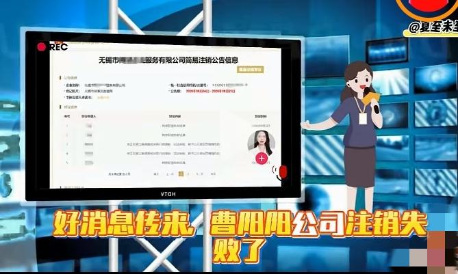 大快人心！曹阳阳公司注销失败！蓄意脱身的算盘彻底落空全网坐等的反转终于来了