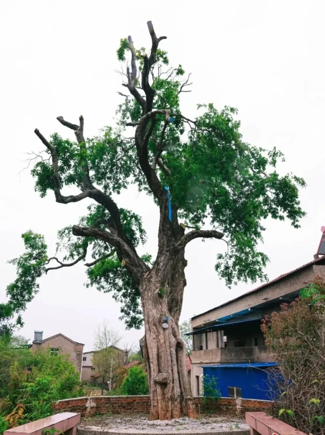 人生在世好多不良习惯一定要注意和改掉，不然的话很难保证自己长寿，我的父亲就是一个