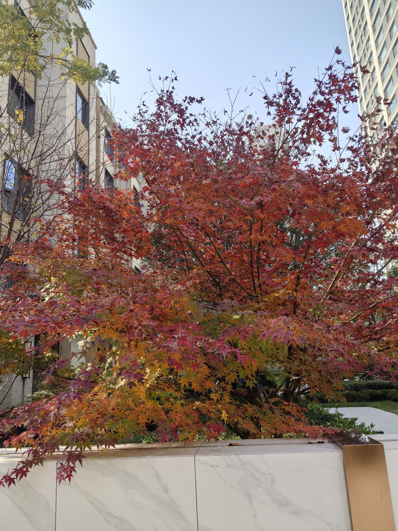 10个坑人习惯，谁做谁伤身1.饭后马上午睡2.指甲剪得光秃秃3.半躺在沙