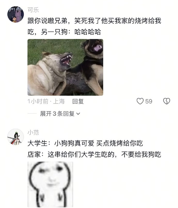 狗狗：我不吃