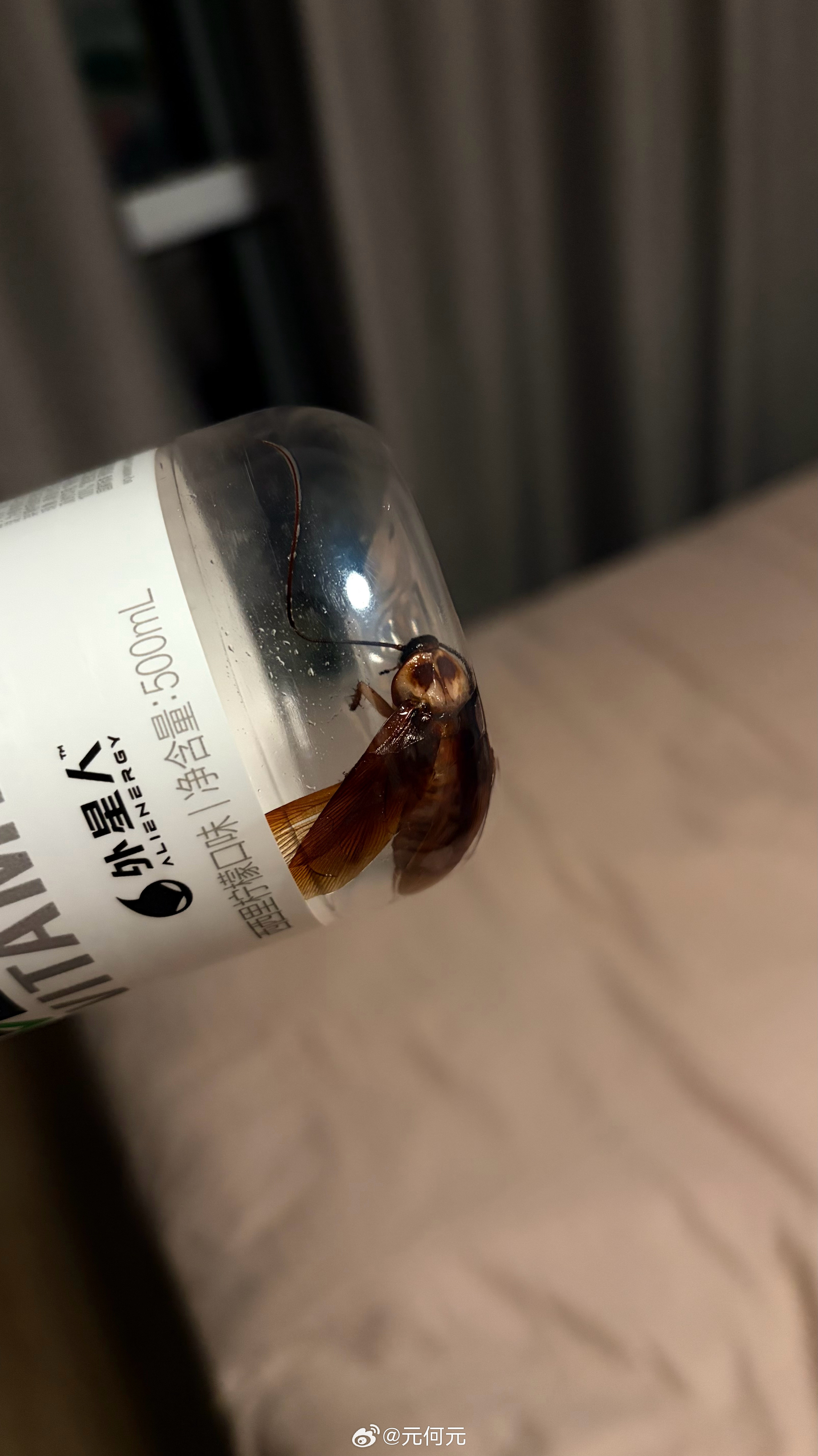 卧槽，惊魂一刻！惊魂一刻～～我们三口子刚才都躺床上，忽听嗡嗡嗡的声音，倩姐说什么