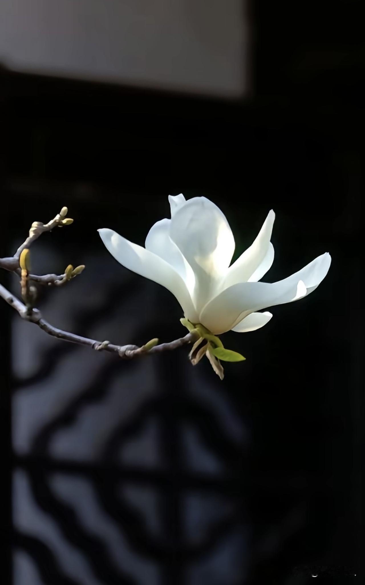 这个时代，越来越多的孩子，眼里无光。其实，当对一些人或事，无能为力的时候，也