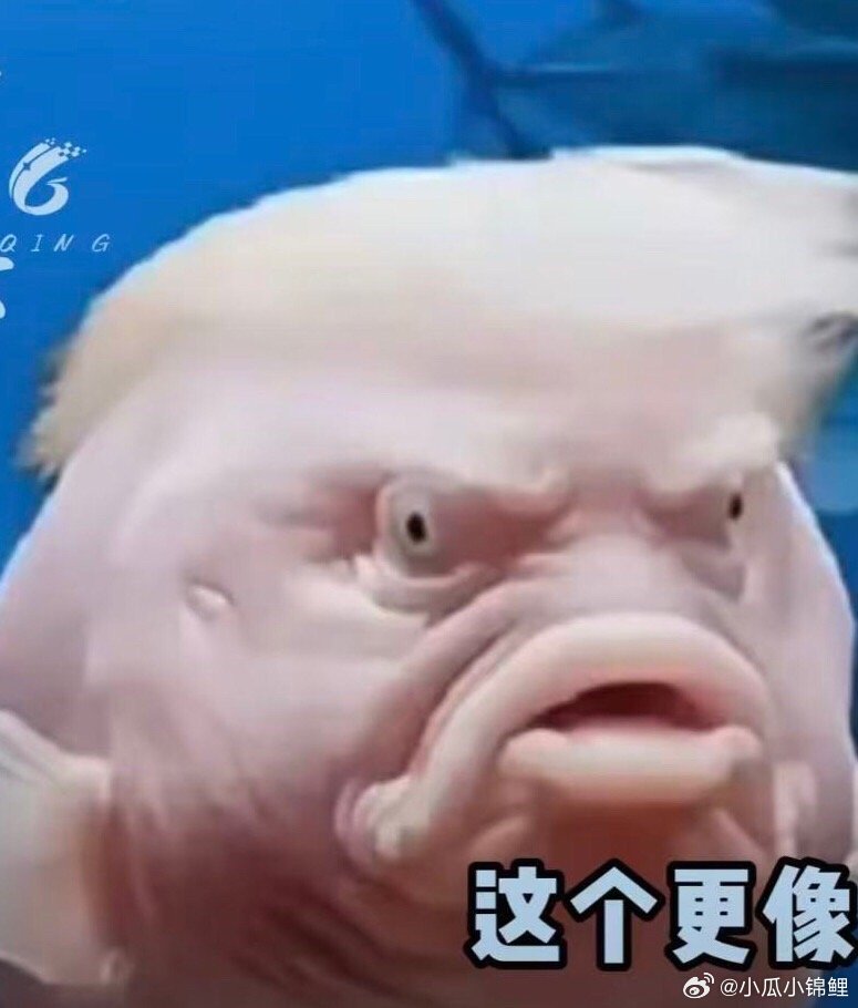 美国开始甩锅了哈哈