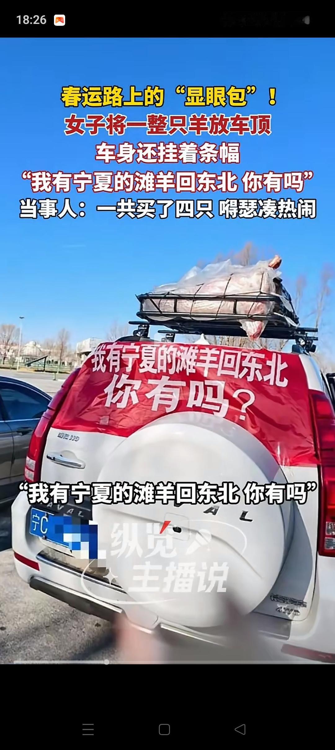 “这真够得瑟的”，黑龙江，一女子为了当个“显眼包”，便在车上拉了一条横幅“我有宁