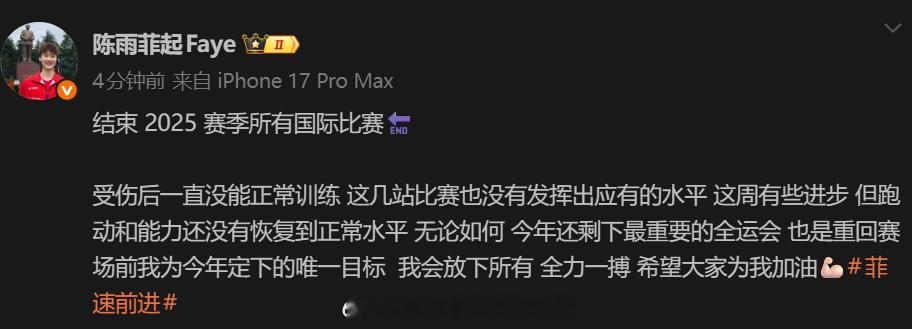 陈雨菲总结2025年国际比赛陈雨菲:六个冠军:亚洲羽毛球锦标赛苏迪曼杯新加