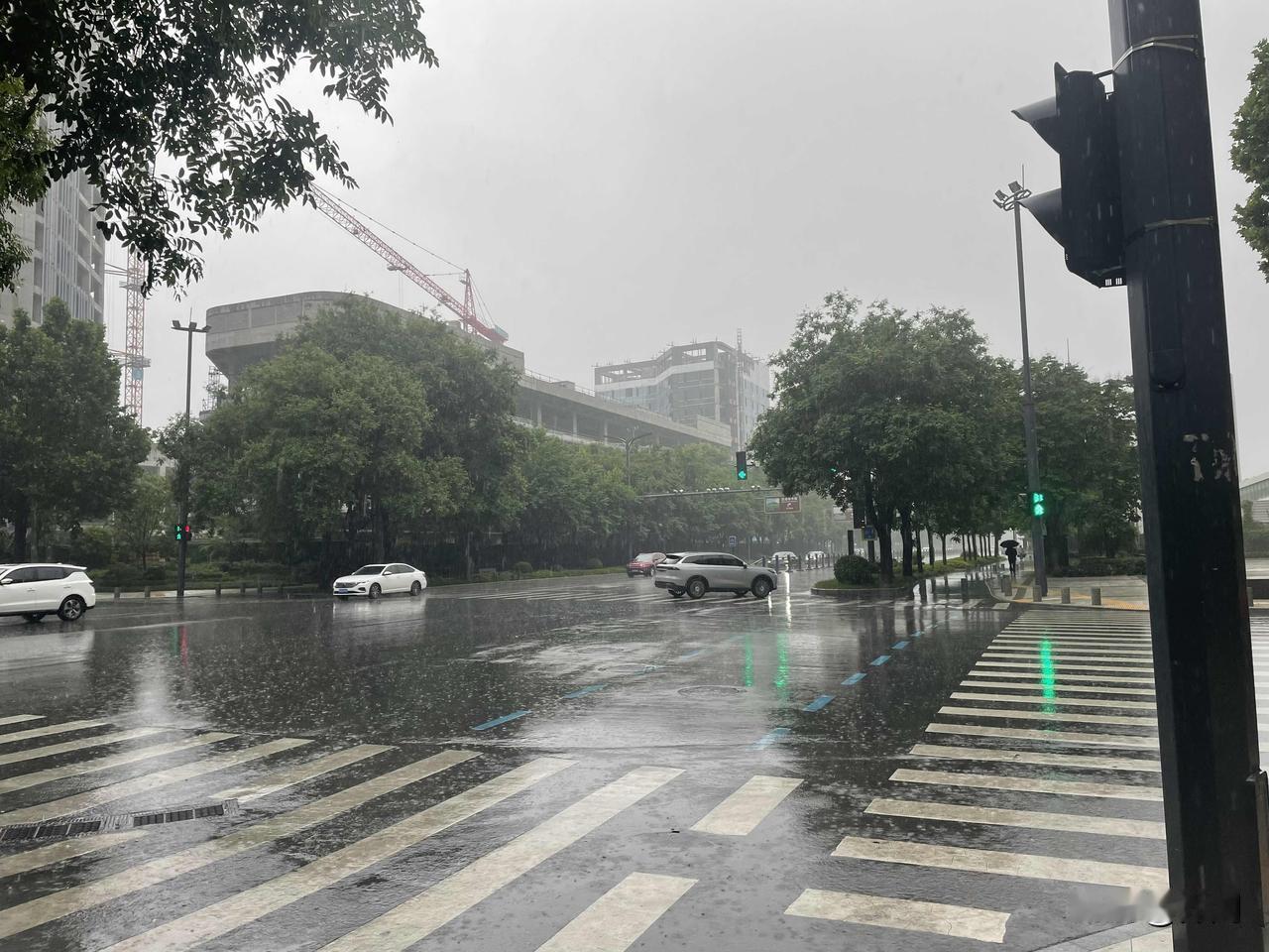 【七律•流莺隐去燕飞高】流莺隐去燕飞高，草木葱茏月季娇。绿树荫前听雀闹，微风