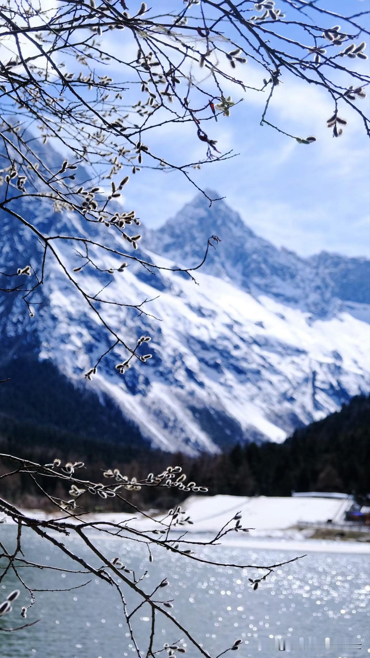 刚刚惊悉一位朋友前几天摔了一跤，送去医院没有抢救过来，年仅45岁！听说他是晚