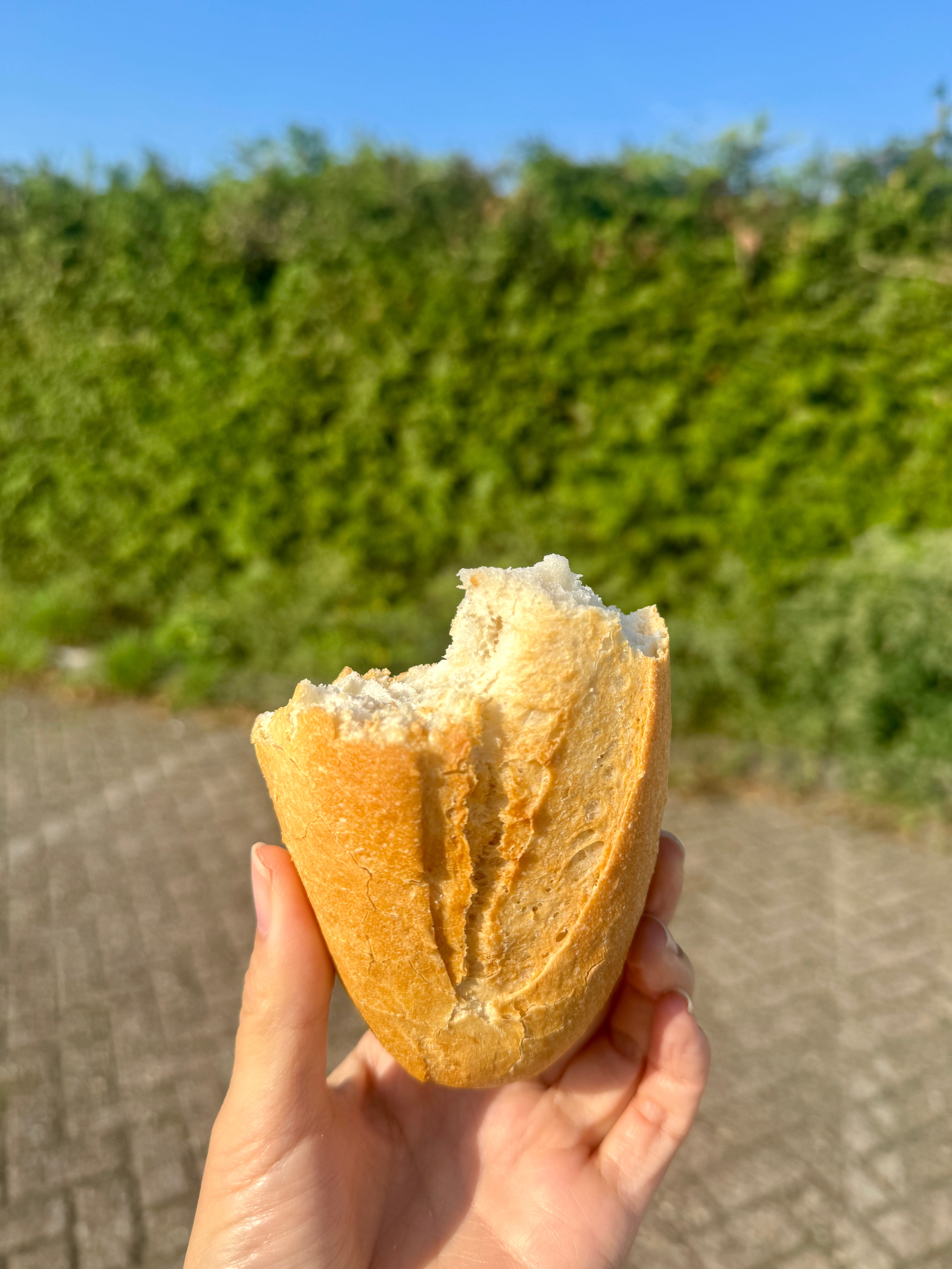 今天要严格忌口，我滴早餐​​​