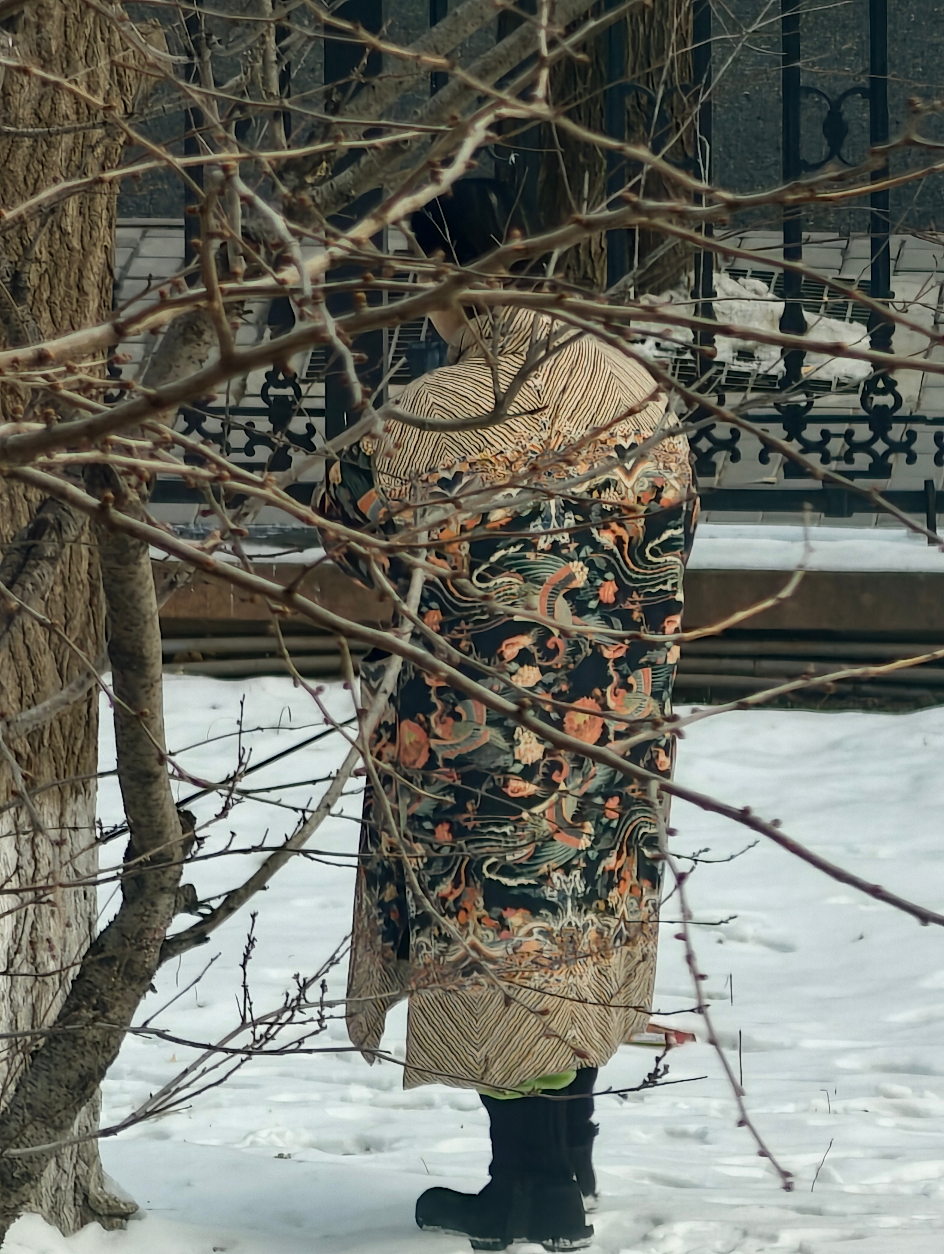 大清贵人，遛狗了