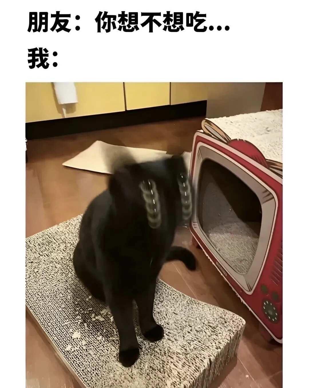 搞笑梗图哈哈哈哈😂哈哈哈哈哈搞笑梗图合理但有病此图有梗不用担心作者的