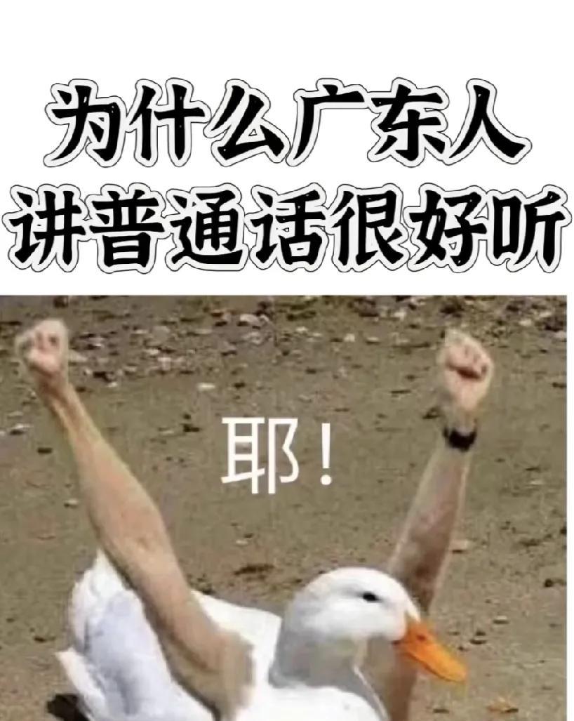 广东人在北京生活有多费劲？刚来北京，在超市买完东西跟售货员姐姐说，给一个胶袋，
