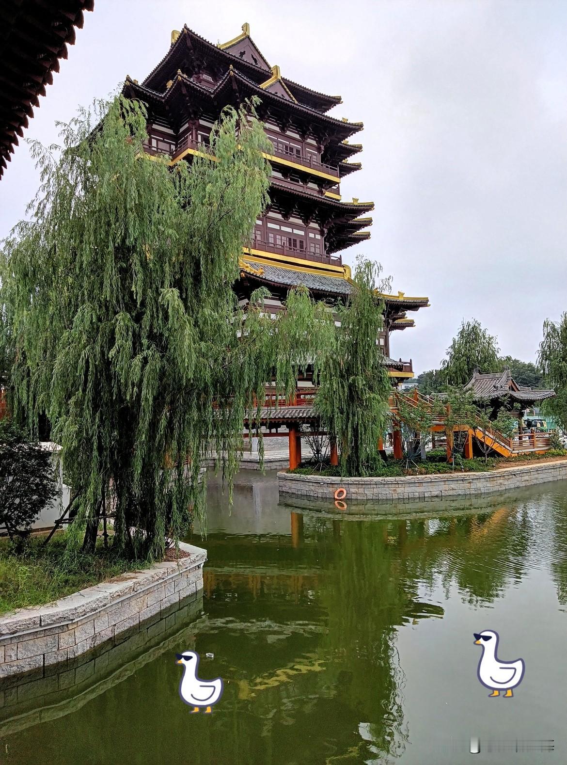 别总舍不得吃！这17条饮食心得，建议你看看咱们这代人，啥都舍不得吃。好东西留