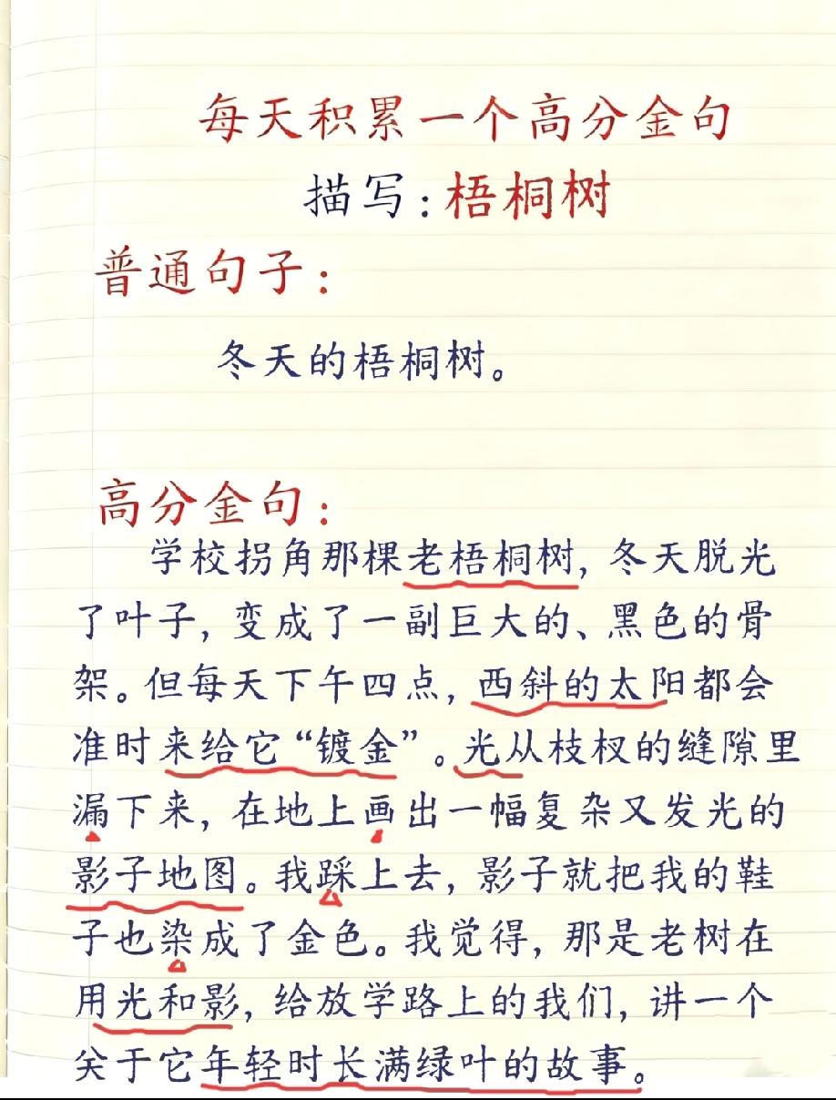  同样写冬天的梧桐树，普通句vs高分句，差距大到我惊了，你觉得哪句更妙？