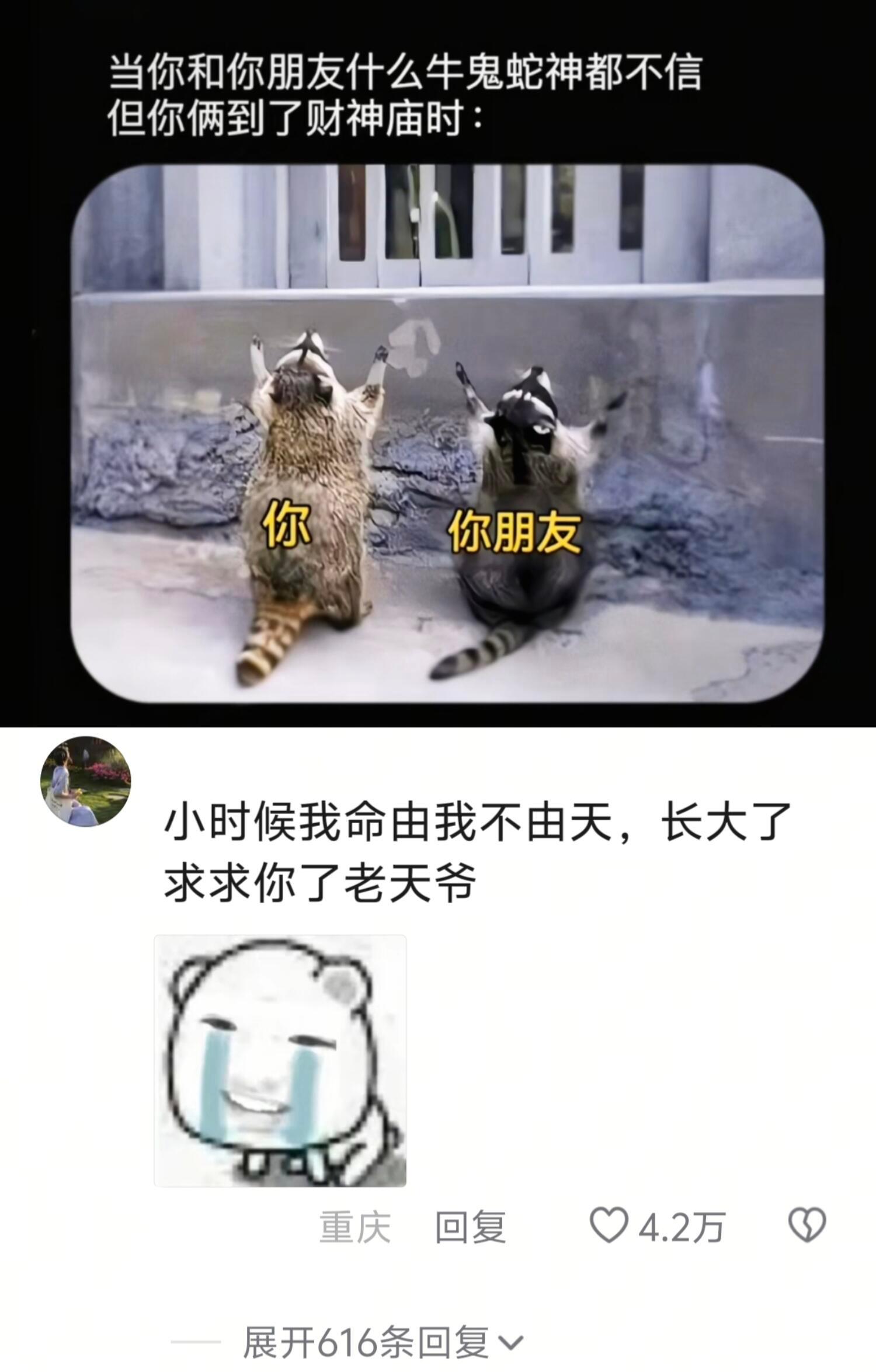 好运来？！老天爷我求求你了