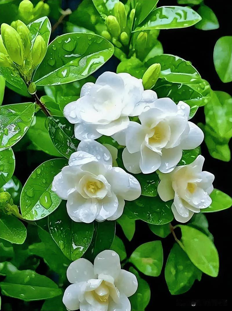 这个世界，到底有没有真正的好人？我觉得是有的。就说张桂梅老师，她扎根贫困山区40