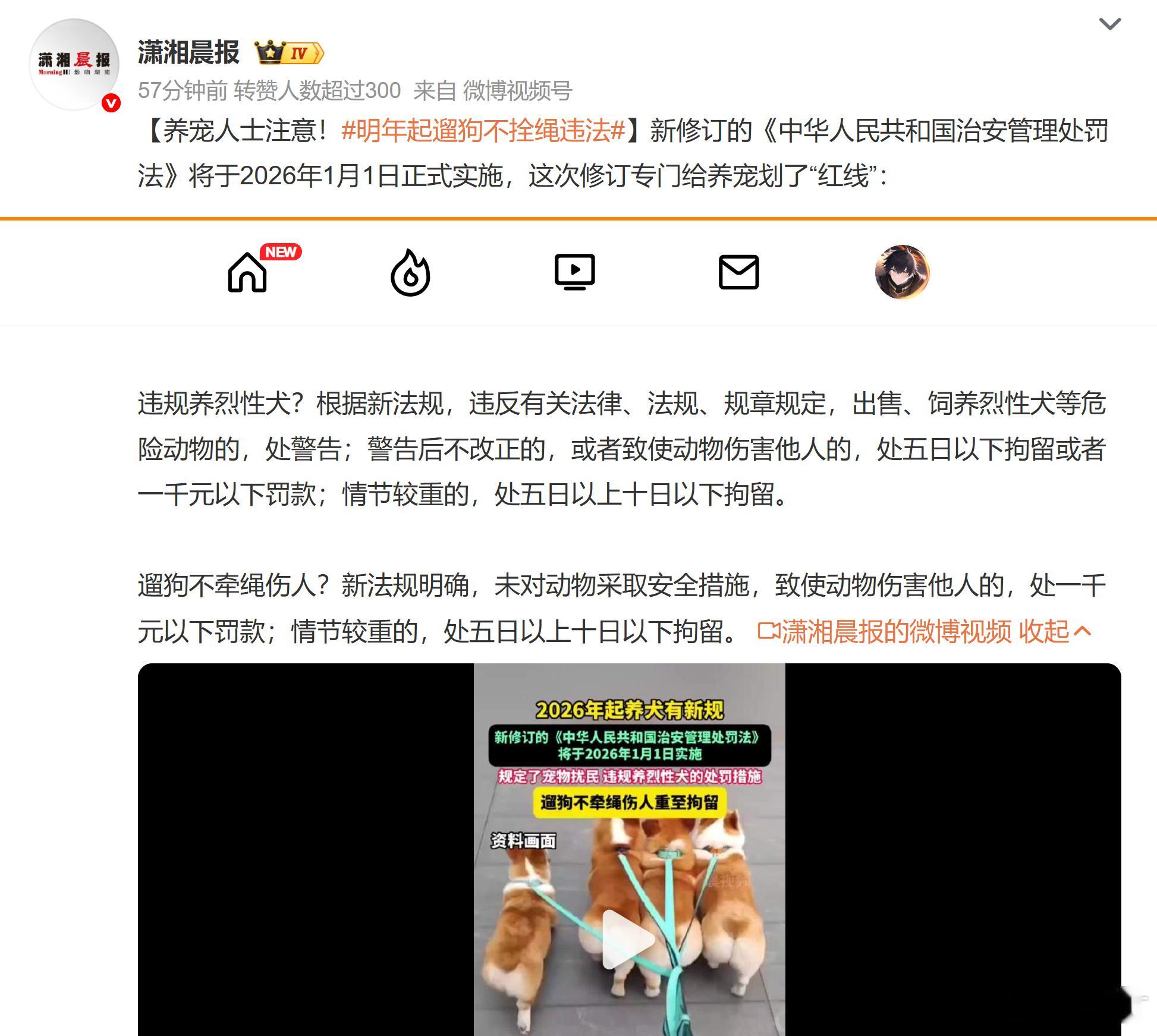 有一说一，现在遛狗不牵绳也是违法的。比如，《杭州市限制养犬规定》中就有规定：犬只