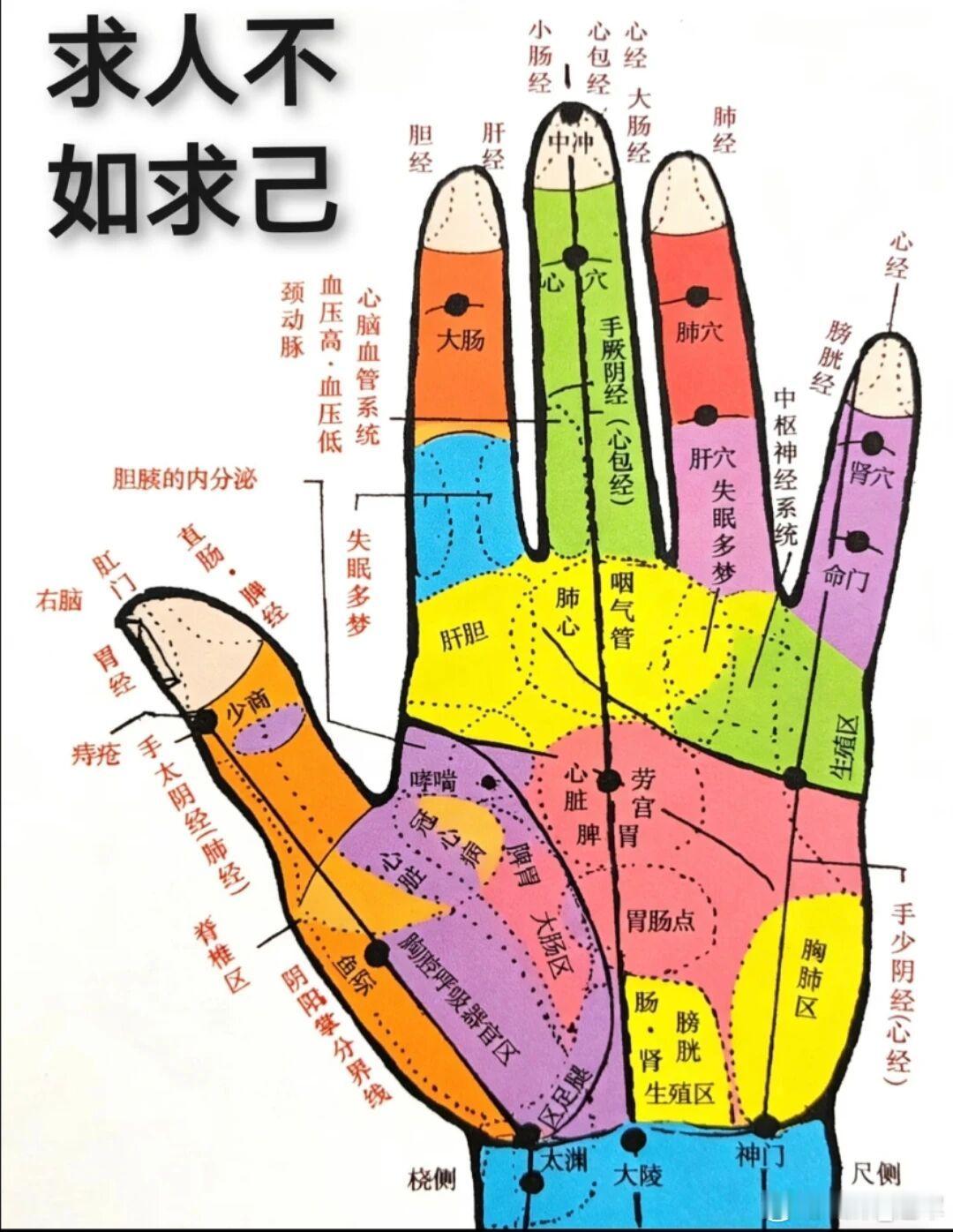 气机不降和升太过症状相似，怎么区别呢气机不降和升之太过到底怎么区分？先记一句总纲