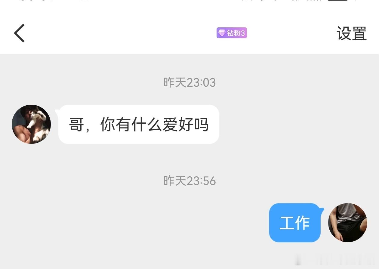 说实话，我真的挺喜欢上班的，甚至多过旅游。我只是不喜欢开会、处理工作内容以外的事