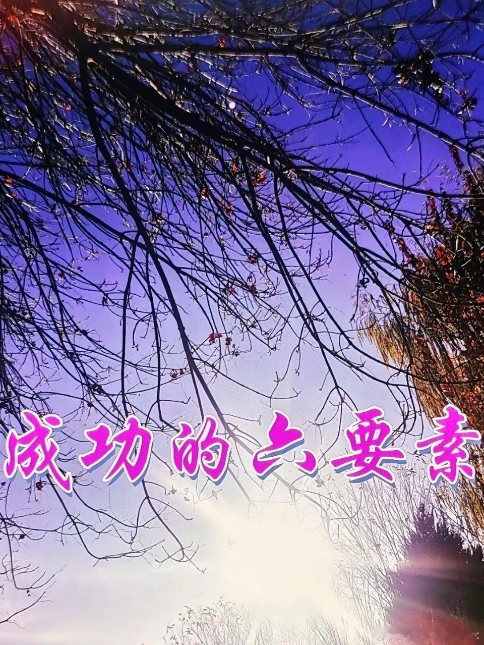 成功的六要素一、要有胆量，敢想，敢做，不怕死，甩开顾虑。