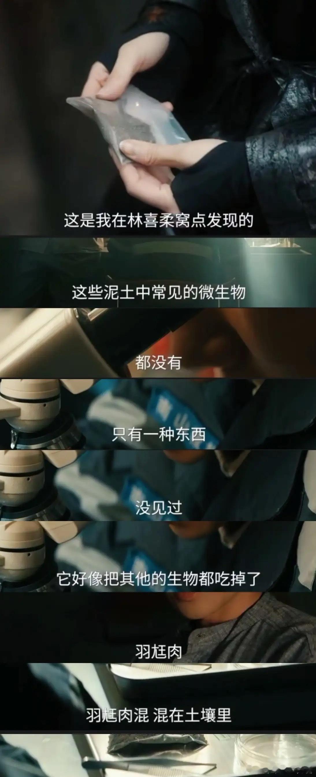 《枭起青壤》刑深在《南山县志》看到的羽尪肉出现了！就在聂九罗从林姨那获得的那一袋