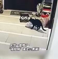 浙江宁波，一名女子报警称：“放在门口的鞋子被偷了。”警察调取该女子邻居家的监控后