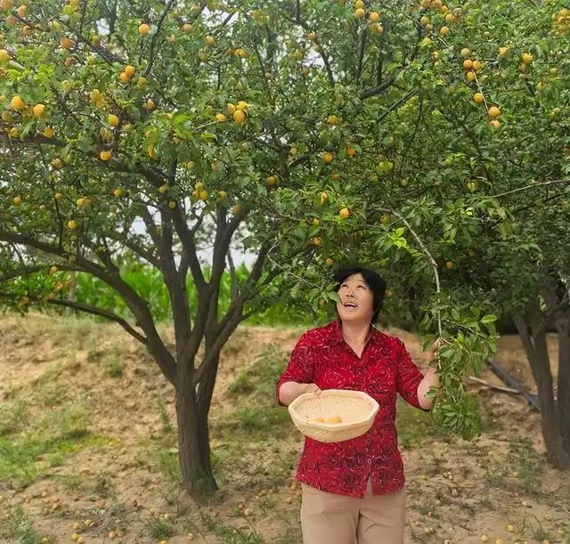 治沙女杰殷玉珍：41年黄沙变绿洲，用双手在大漠种出生命绿色“治沙女杰”殷玉
