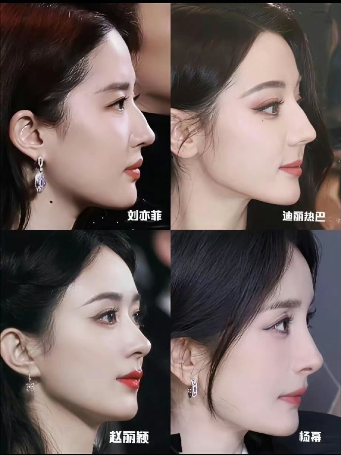 现役最美侧颜，你们同意吗？刘亦菲迪丽热巴赵丽颖杨幂