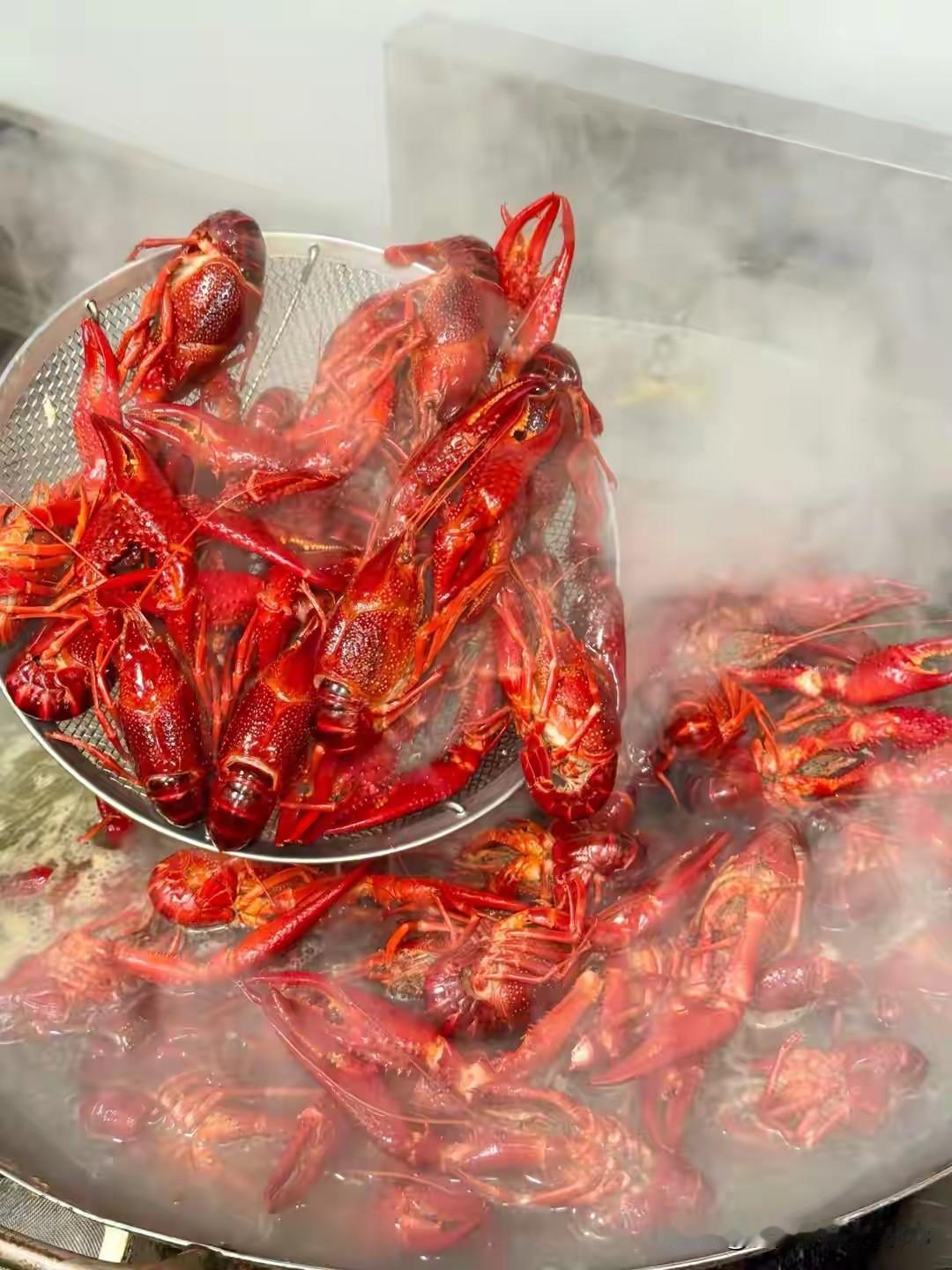 洋相还得洋人出，英国人出的新规让人目瞪口呆！英国人为了提升该国的动物福利水平，