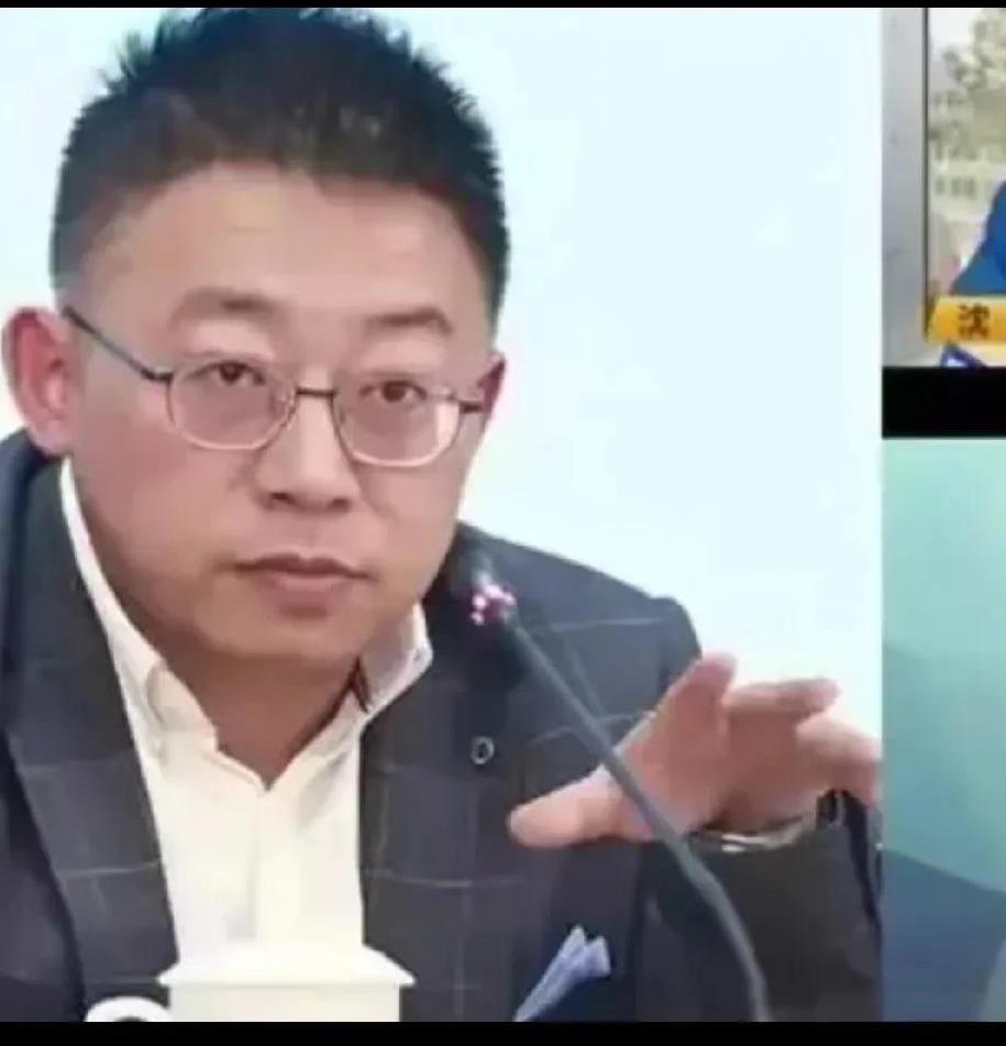 我觉得沈逸说的太对了，看看中国的一些互联网公司，发展到最后都变成了美国的公司，这