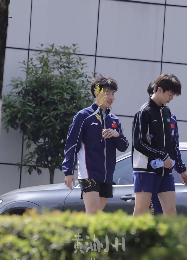 国乒封训出大事了！梁靖崑腰椎盘突出5毫米，比赛中当场躺倒，连弯腰都做不到，国家队