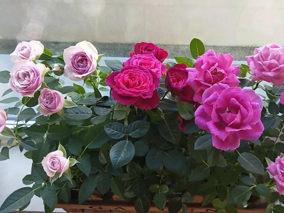 这届成年人的笑点有多低？网友：被一条短信整破防了，哈哈哈哈！那天我正在地