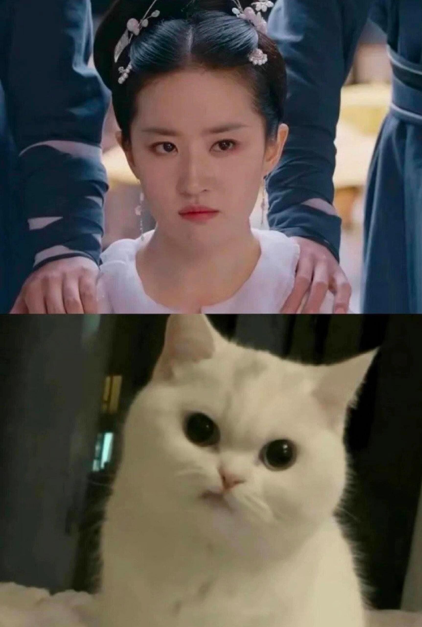 人，你怎么能这么像小猫咪😍