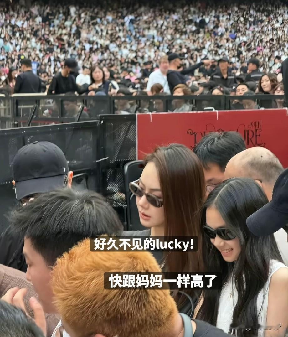 戚薇李承铉带女儿现身演唱会，Lucky身高猛长，少女模样惊艳有网友拍到戚薇