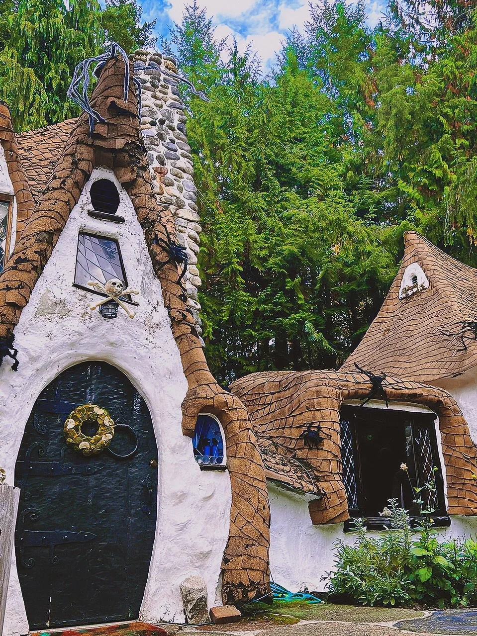 美国旅行🌲住进童话书中的森林小屋民宿