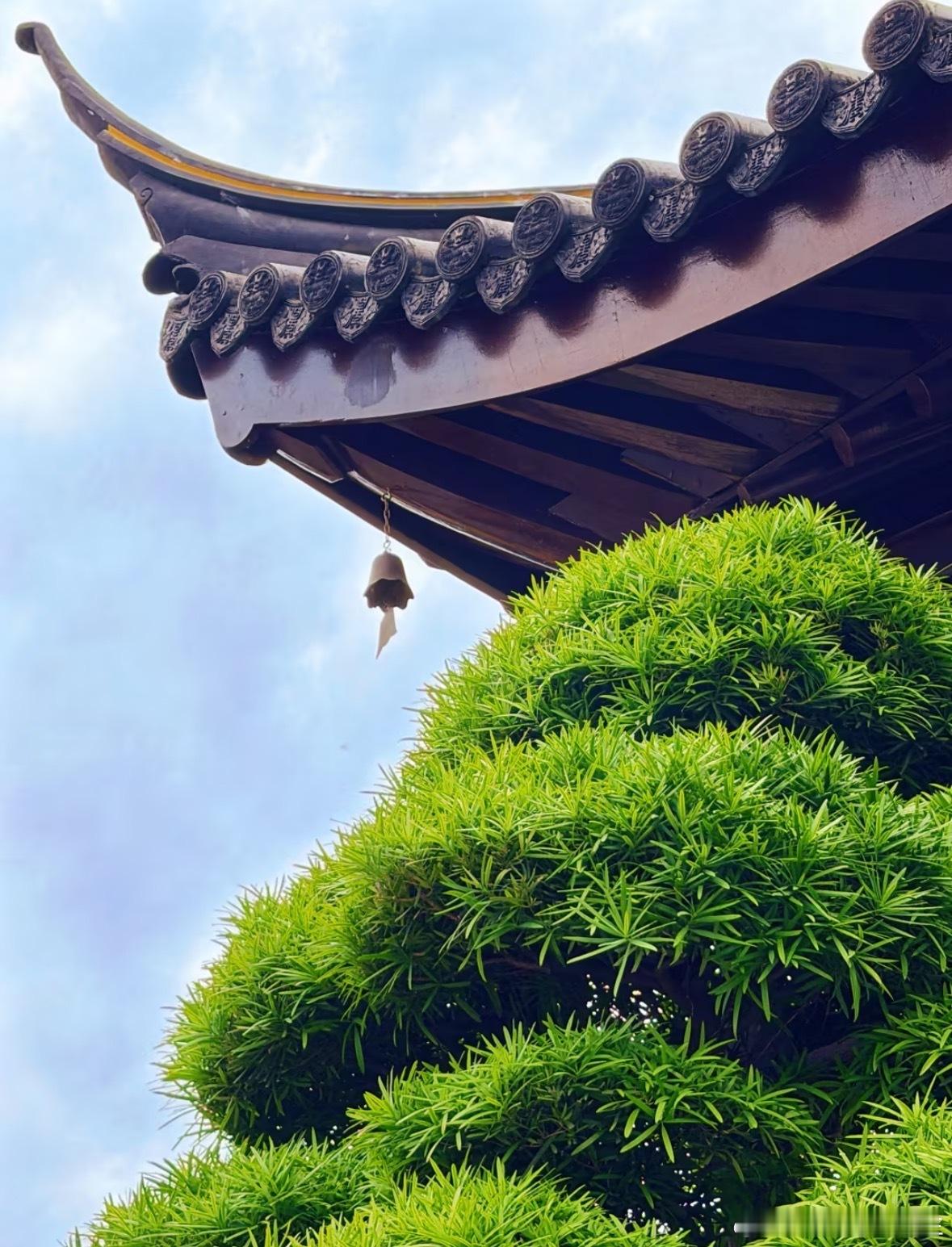 【立秋是今年分割节点】下半年气场愈发极端，会延续至2027上半年，大环境频繁异常