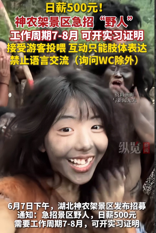 天老爷！日薪500当“野人”，这活儿给你你干不？昨天下午，湖北神农架景区甩出