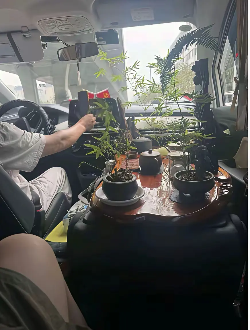 打了个车，司机真是人才！